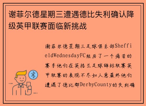 谢菲尔德星期三遭遇德比失利确认降级英甲联赛面临新挑战